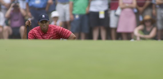 tiger woods