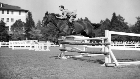 HorseShow