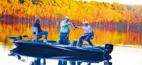 Experience world-class bass fishing with an experienced guide.