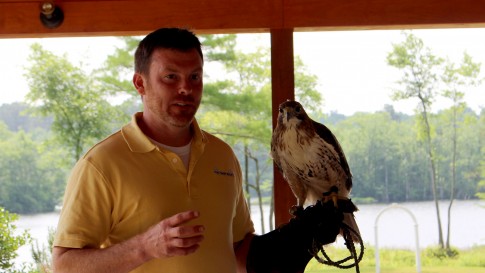 FalconrywithChip