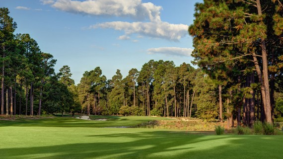 Pinehurst No. 2 6th Hole