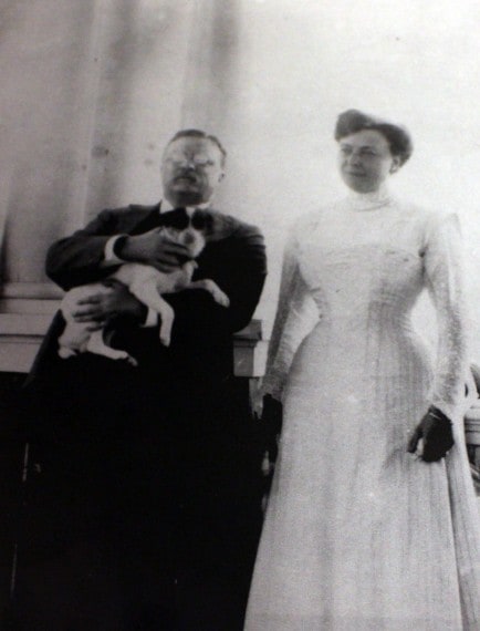 Theodore Roosevelt