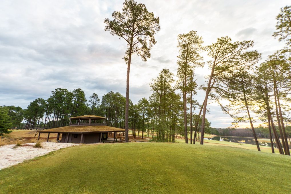 The best view in Pinehurst? It may be at The Nest, our new halfway